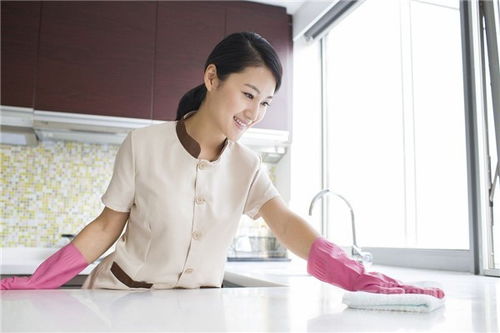代理潔邦家政的創(chuàng)業(yè)者加盟條件分析 高要求還是高機(jī)遇？